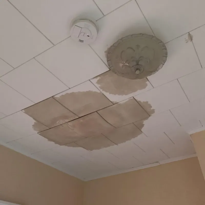 Ceiling Water Damage Repair in Groton, MA