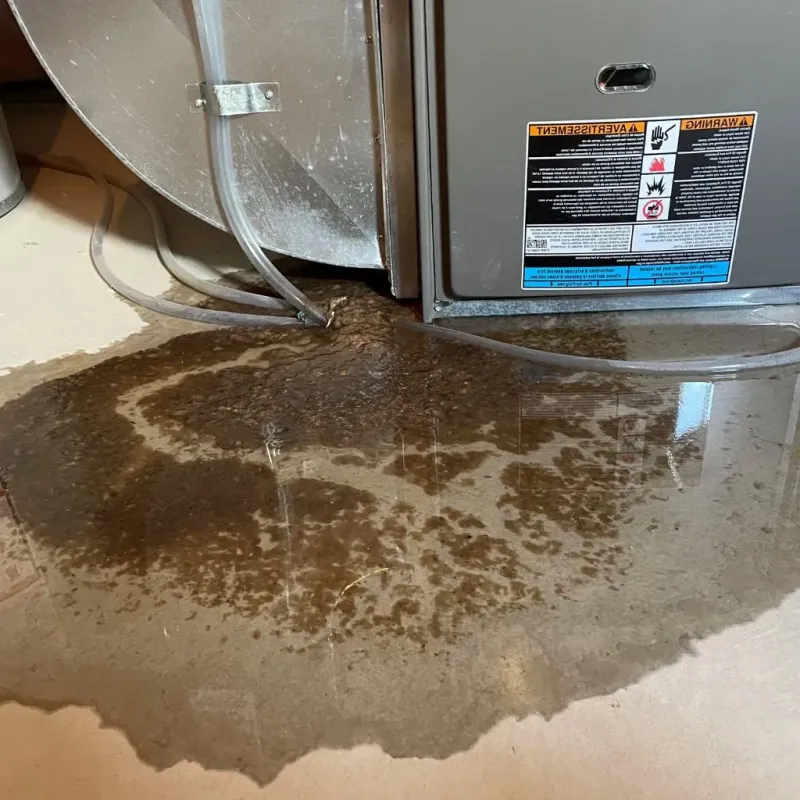 Pipe Burst and Leak Restoration in Groton, MA